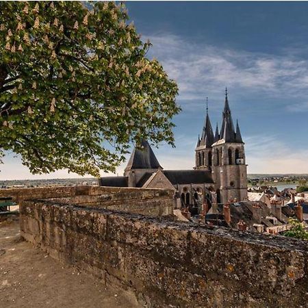 Appartement Coeur De Blois /Heart Of The City Luaran gambar