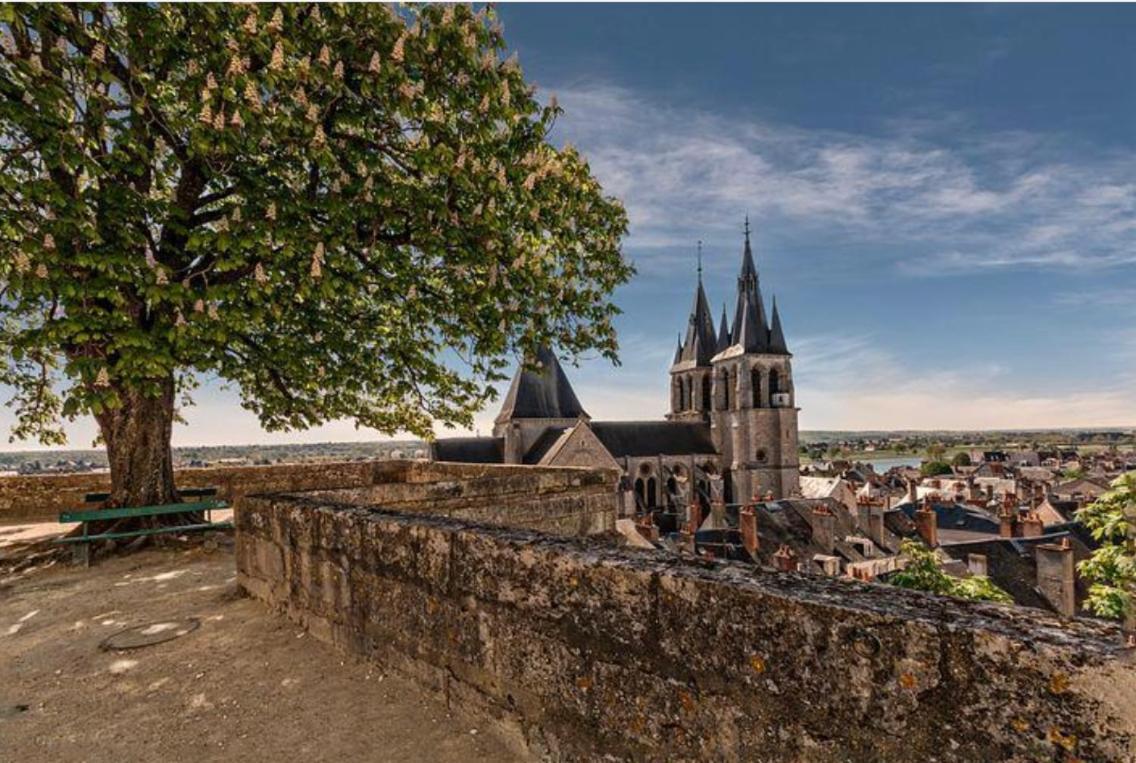 Appartement Coeur De Blois /Heart Of The City Luaran gambar